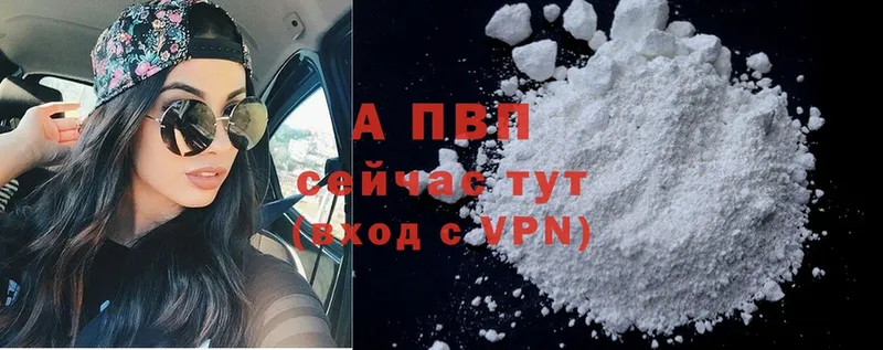 где купить   Кашин  APVP СК КРИС 